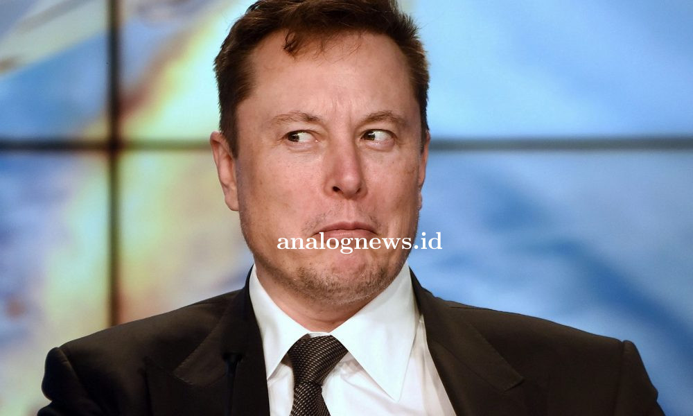 Elon-Musk1-1000x600.jpg
