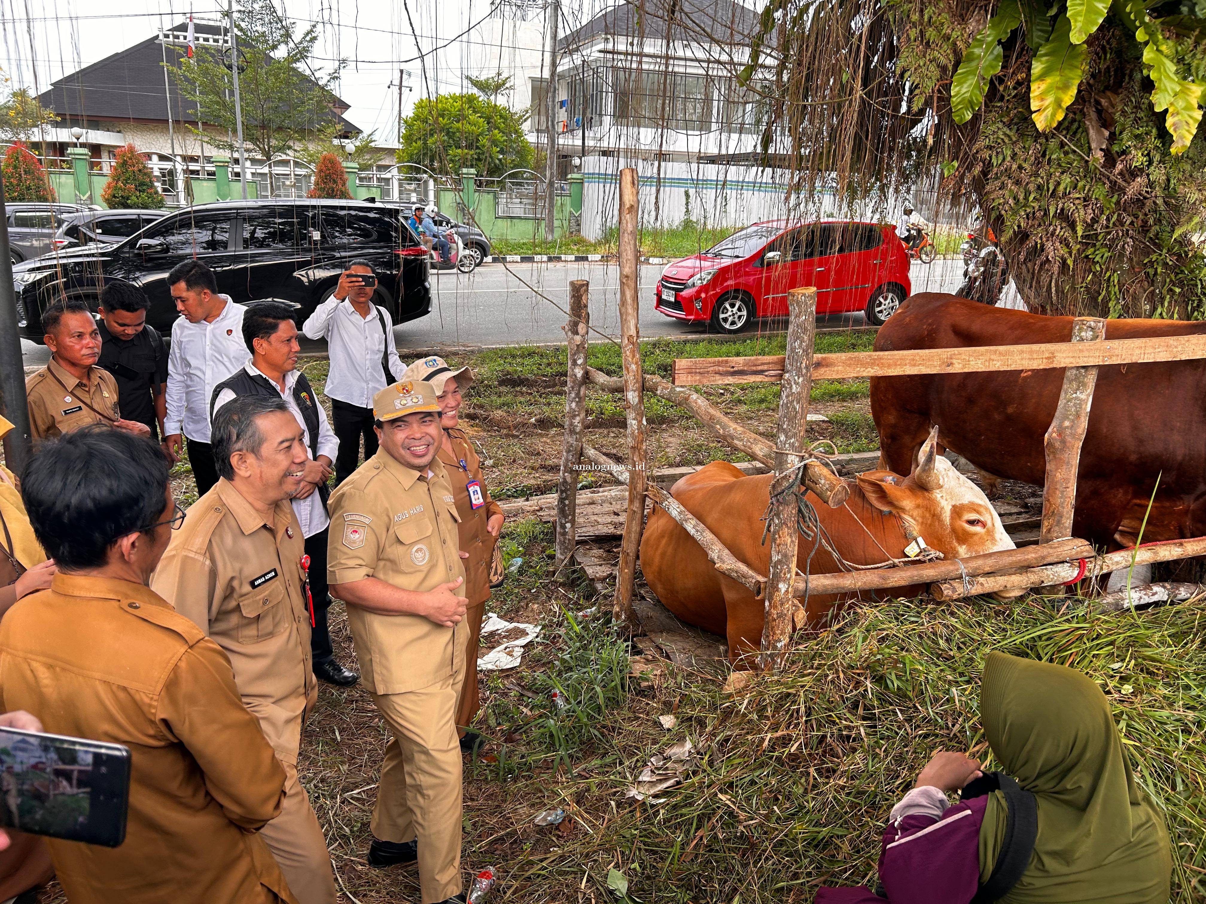 Pemkot Bontang Perketat Pengawasan Hewan Kurban Jelang Idul adha