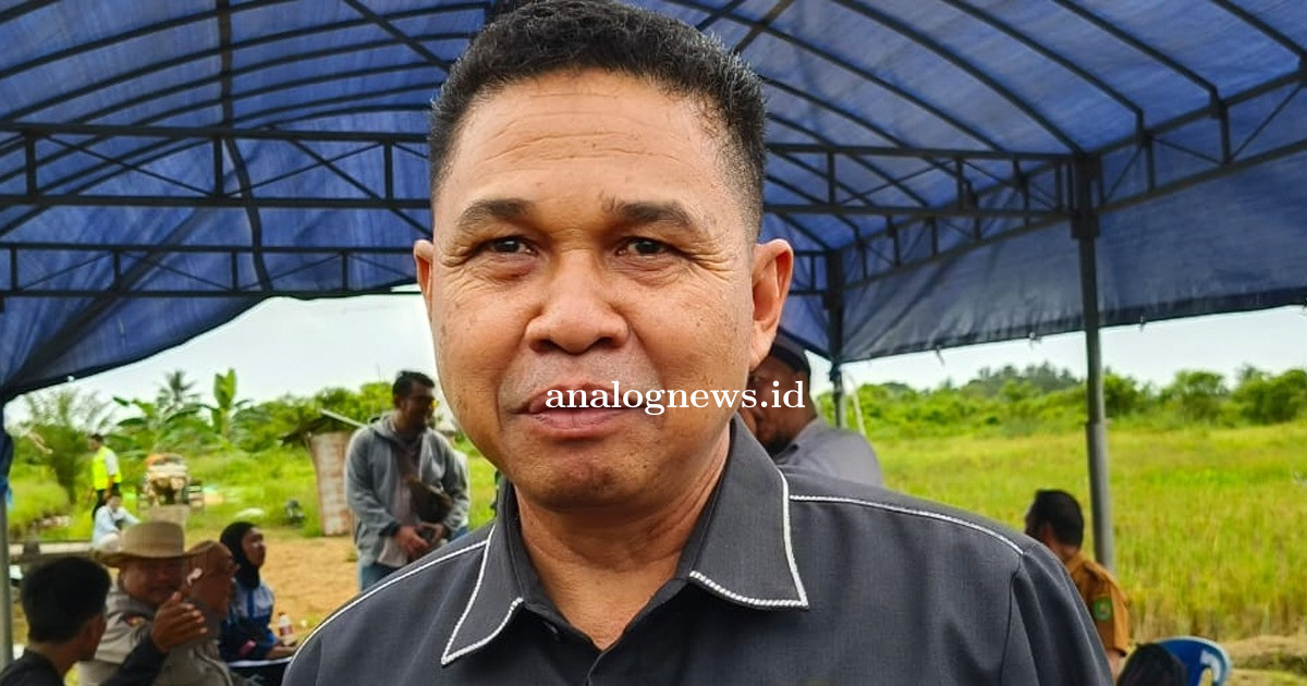 Dewan Dorong Pengembangan Budidaya Maggot, Sebut Menjanjikan