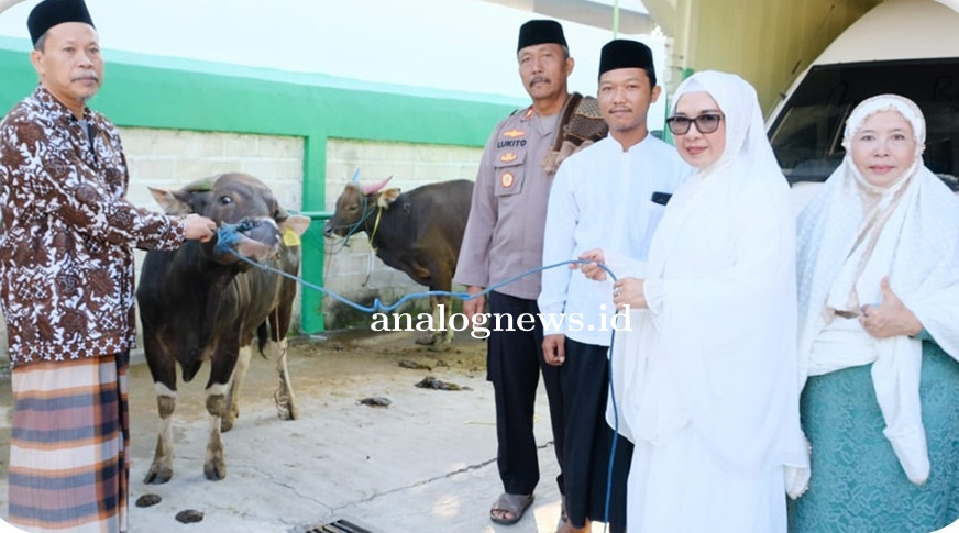 Wakil Wali Kota Bontang Ikuti Sholat Ied dan Serahkan Sapi Qurban di Masjid Miftahul Huda