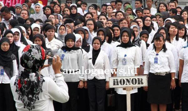 honor_uts.jpg